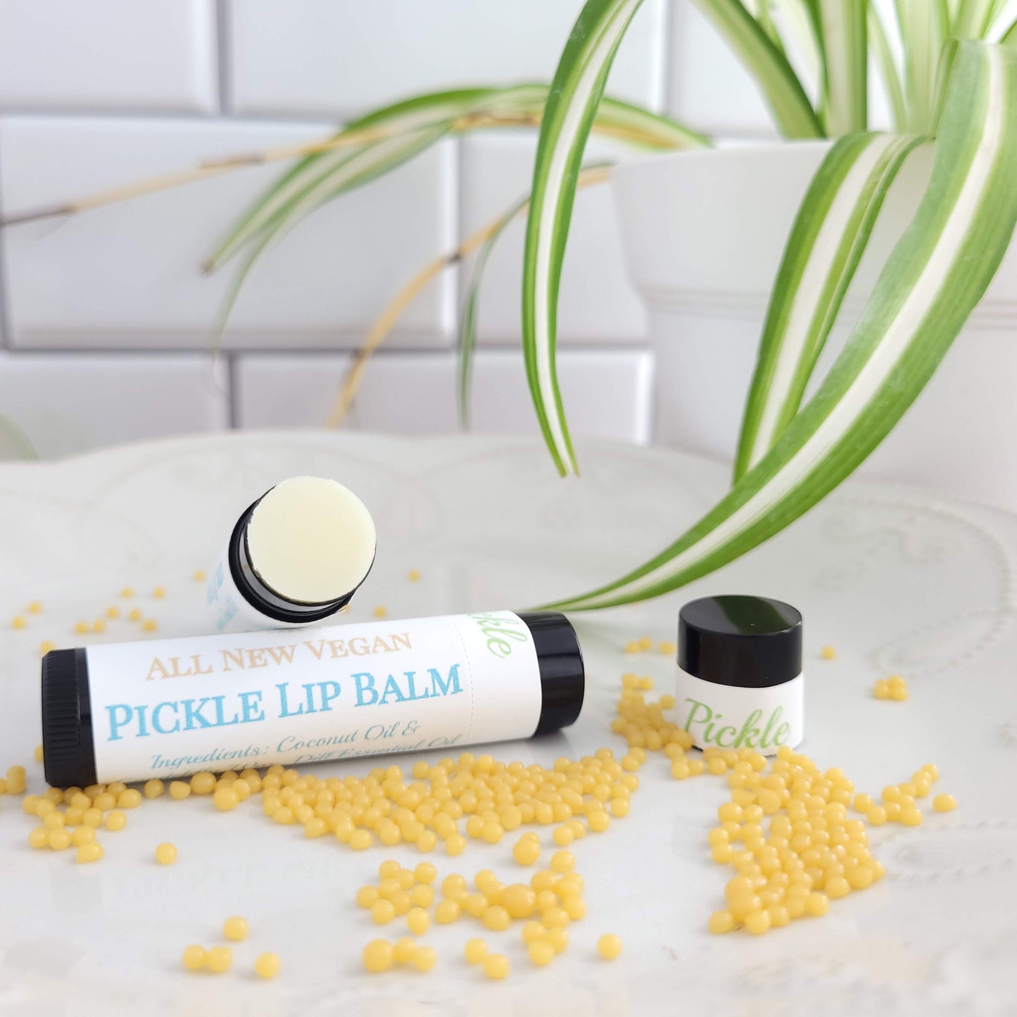 10 Pack of Vegan Lip Balms