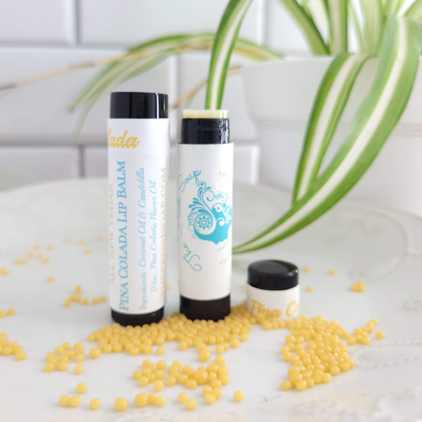 10 Pack of Vegan Lip Balms