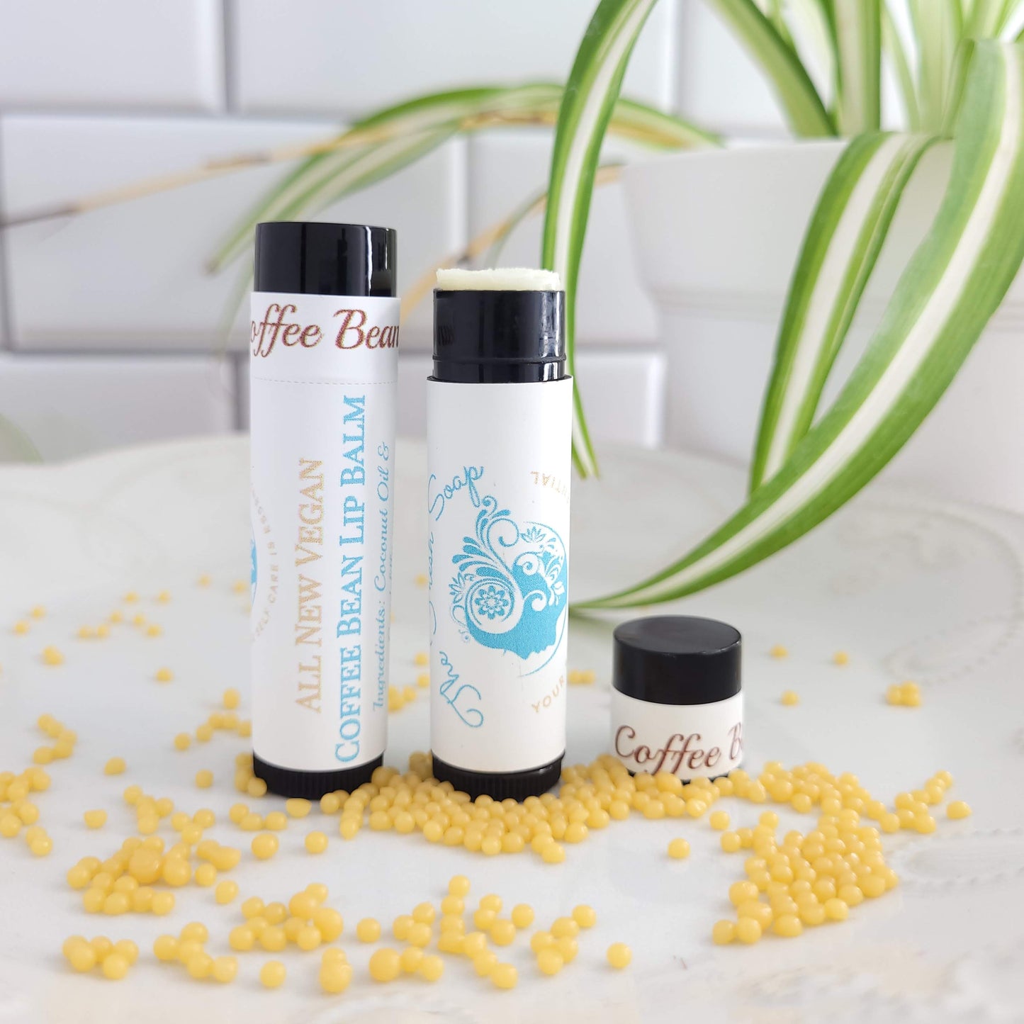 10 Pack of Vegan Lip Balms