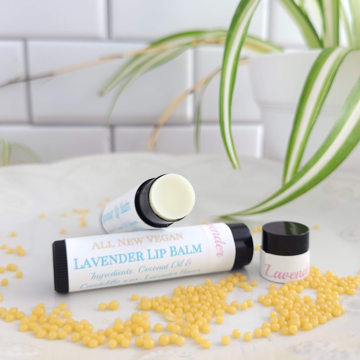 10 Pack of Vegan Lip Balms