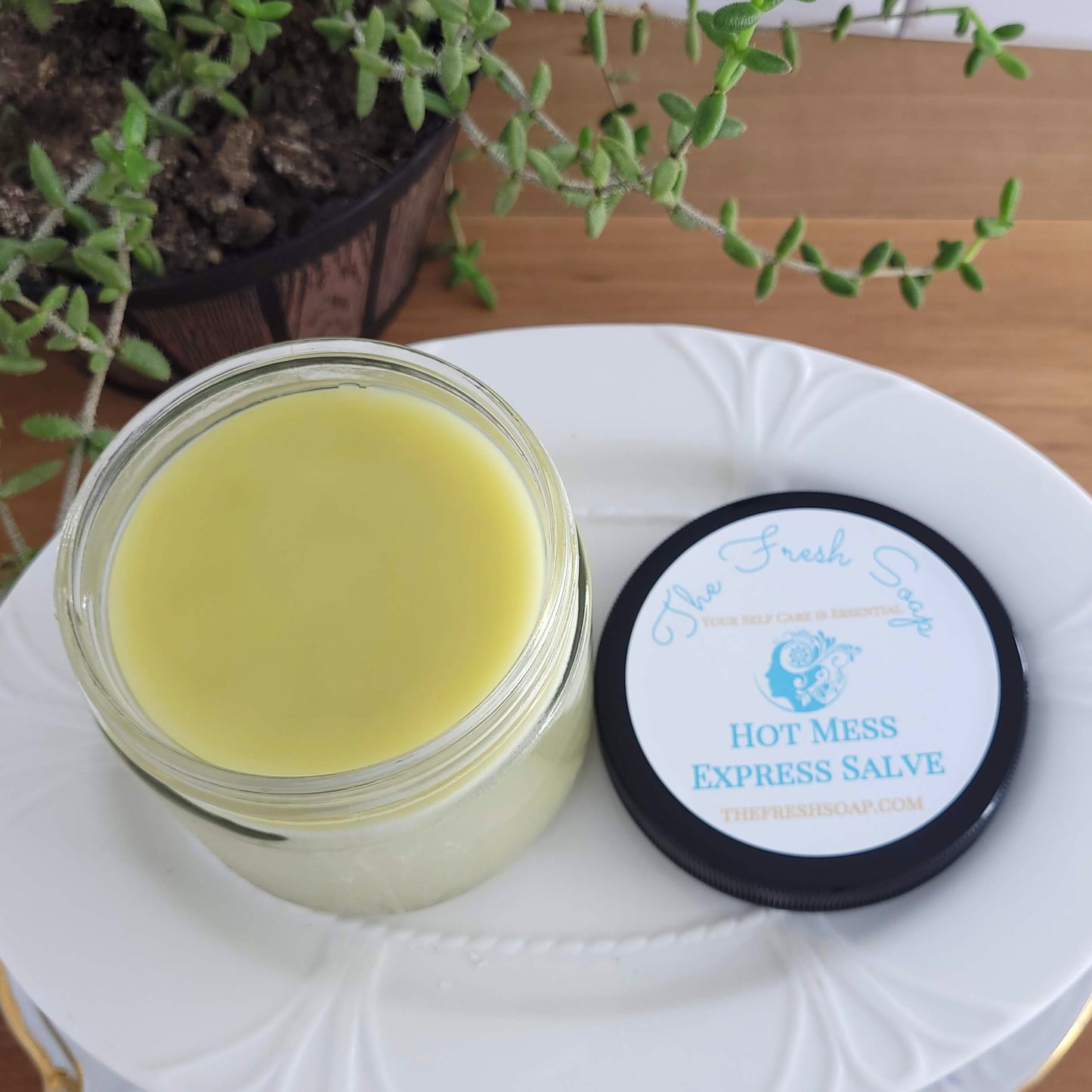 Vegan Hot Mess Express Salve