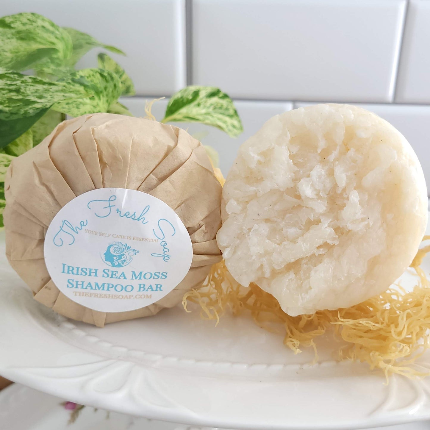 Irish Sea Moss Shampoo Bar infused with Turmeric and Patchouli Essential Oils